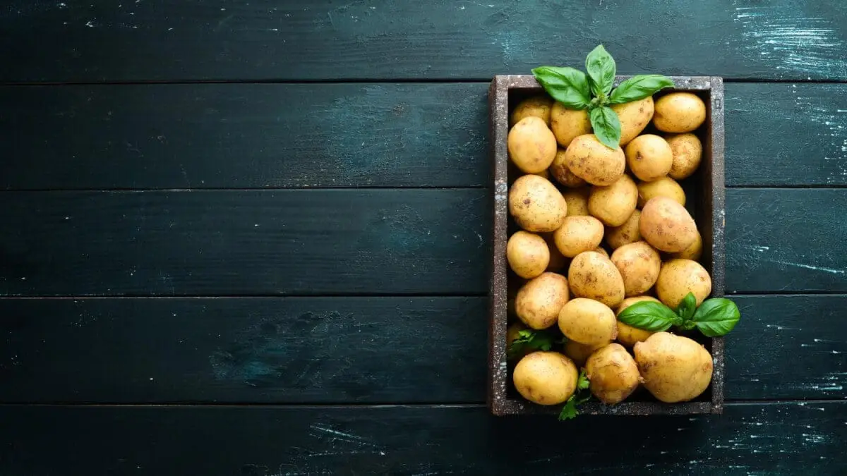 Hur länge ska potatis koka?