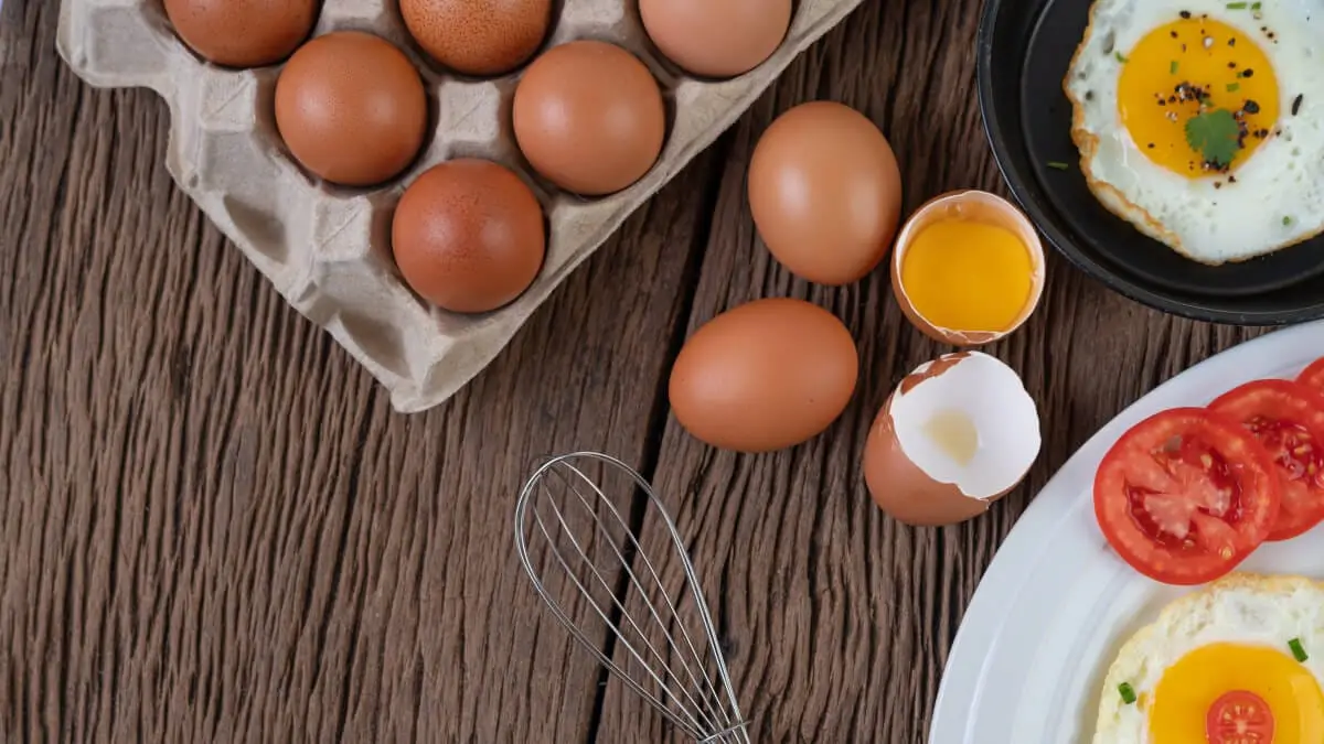 Så mycket protein finns det i ett ägg! illustration