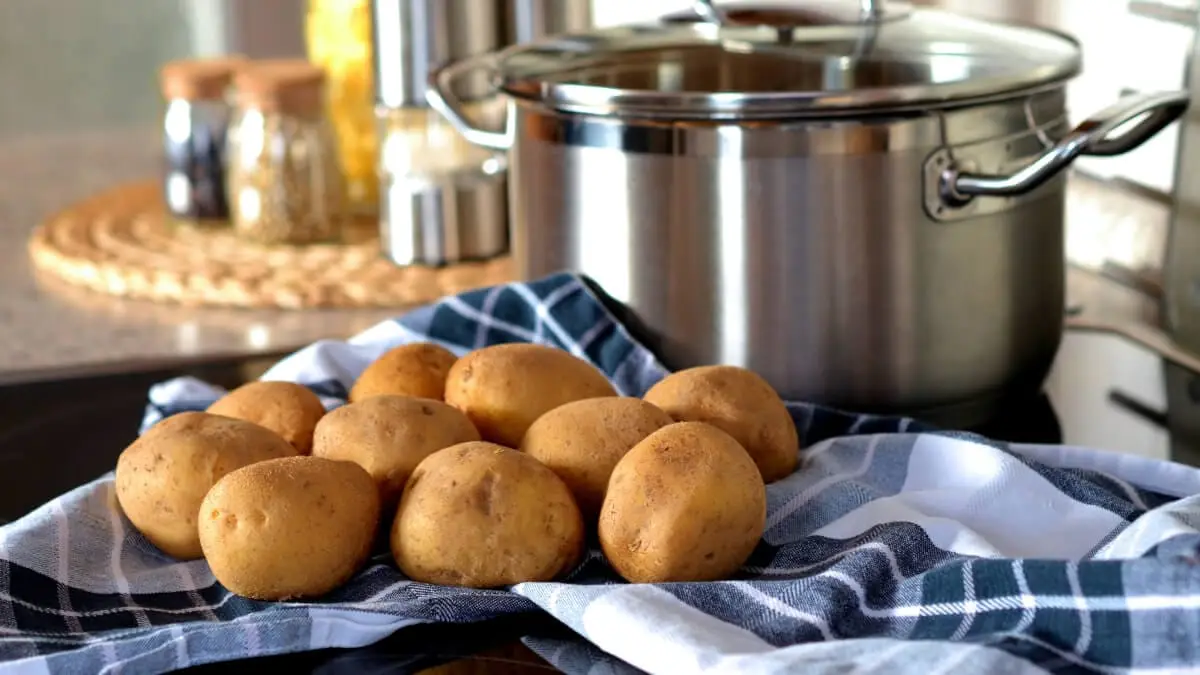 Så många kcal innehåller potatis – enkel koll! illustration
